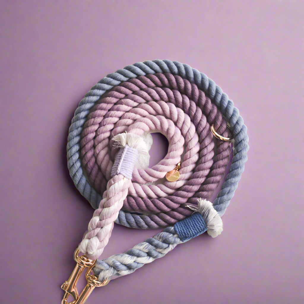 Leash |  Violet