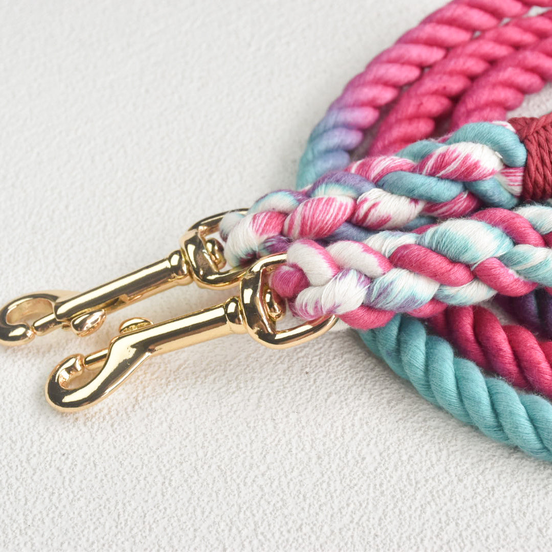 Leash | Pink Oasis