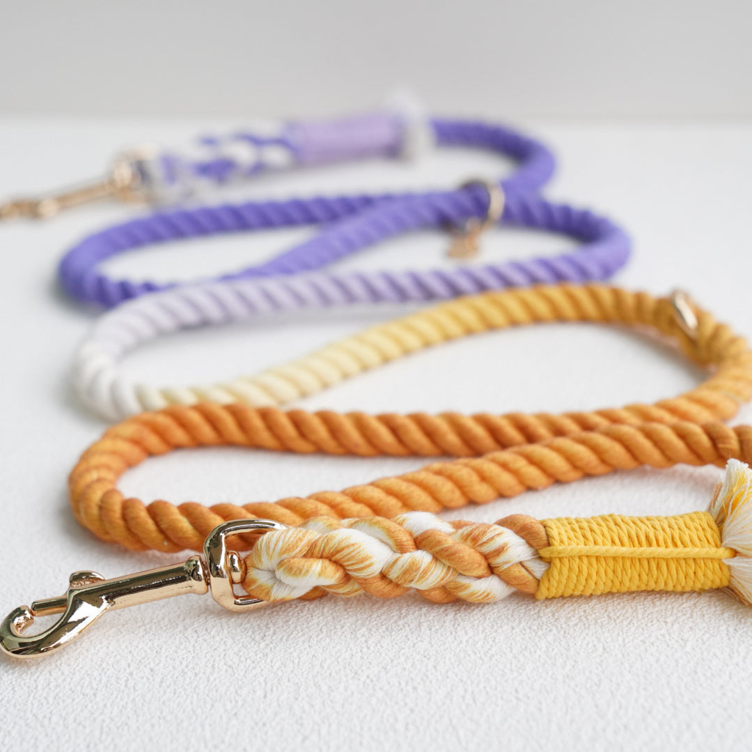 Leash | Amethyst