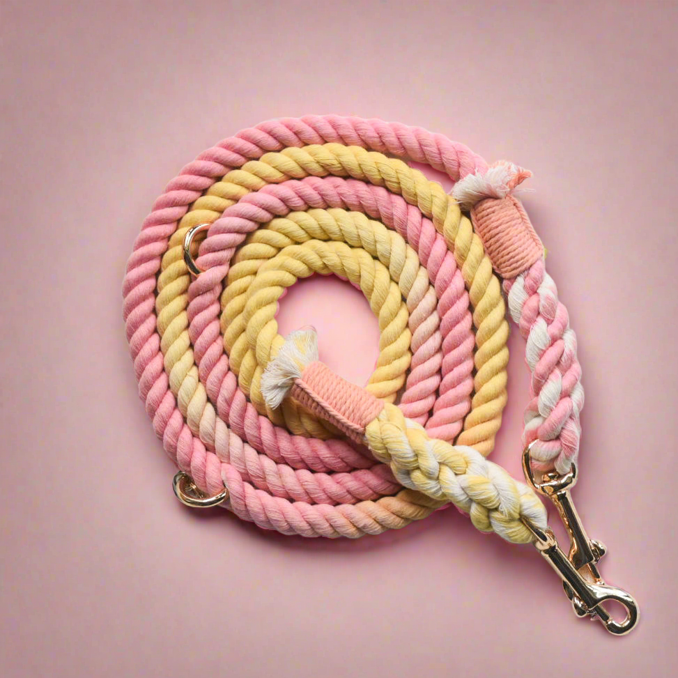 Leash |  Marshmallow