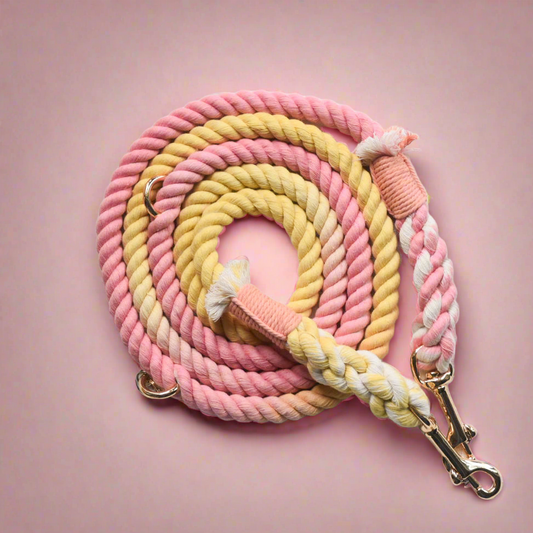 Leash |  Marshmallow