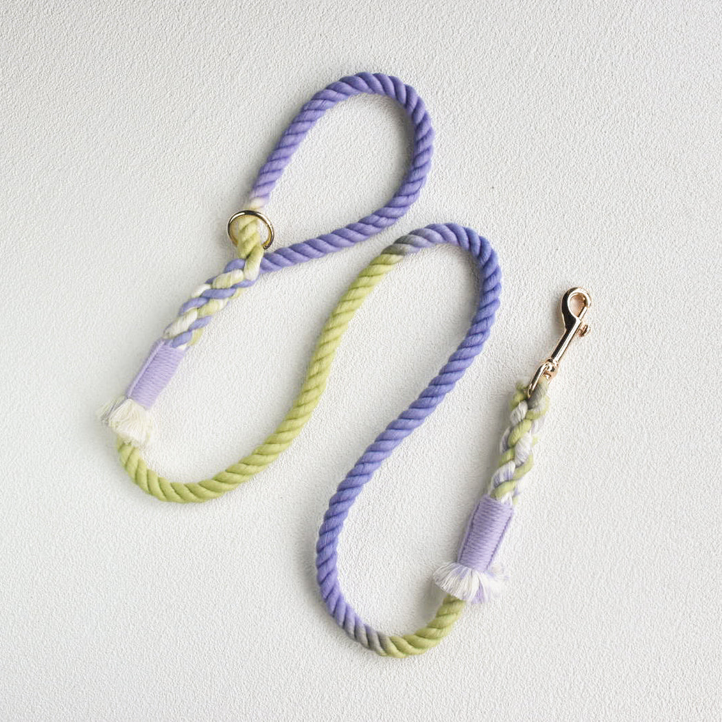 Leash | Lavender Fields