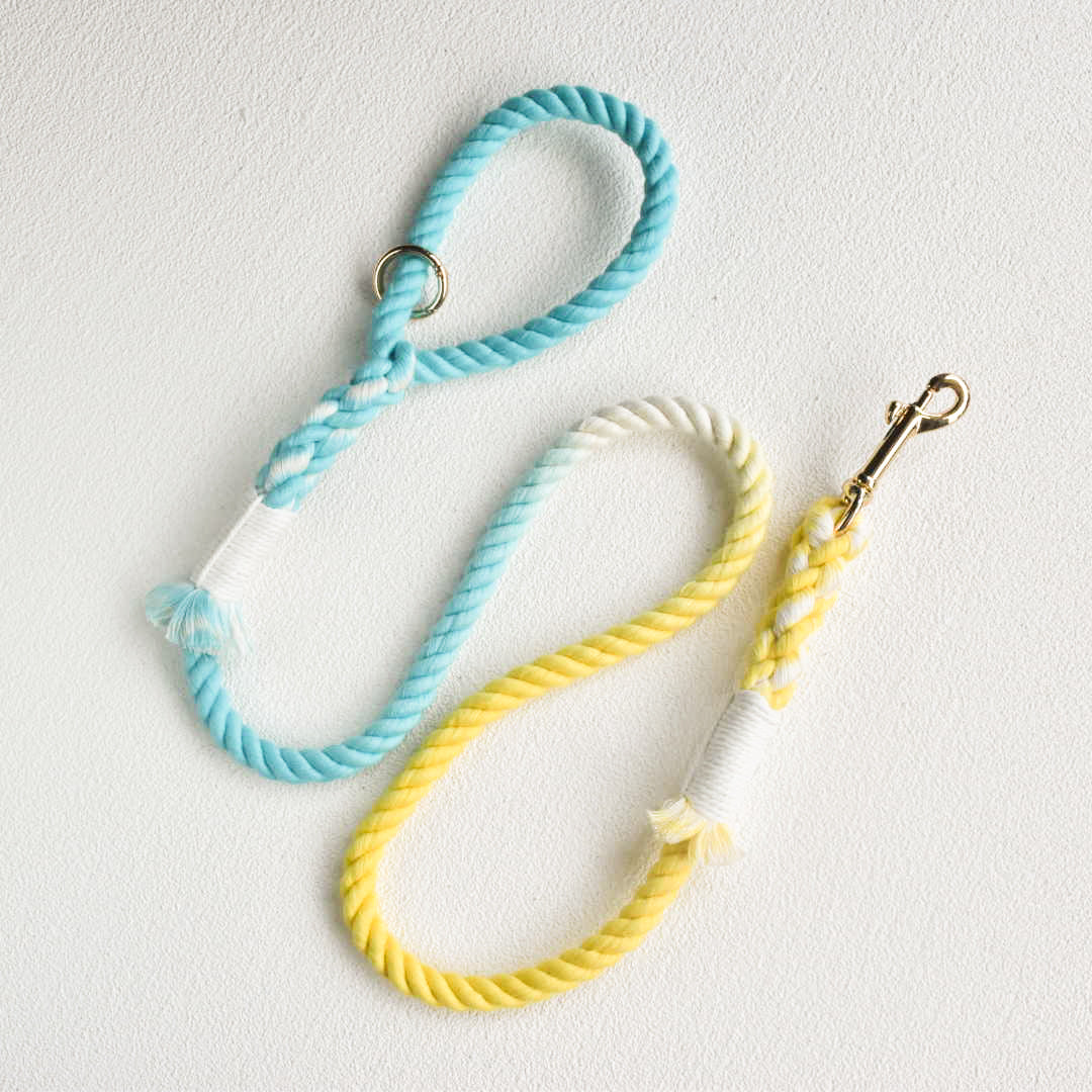 Leash | Summer