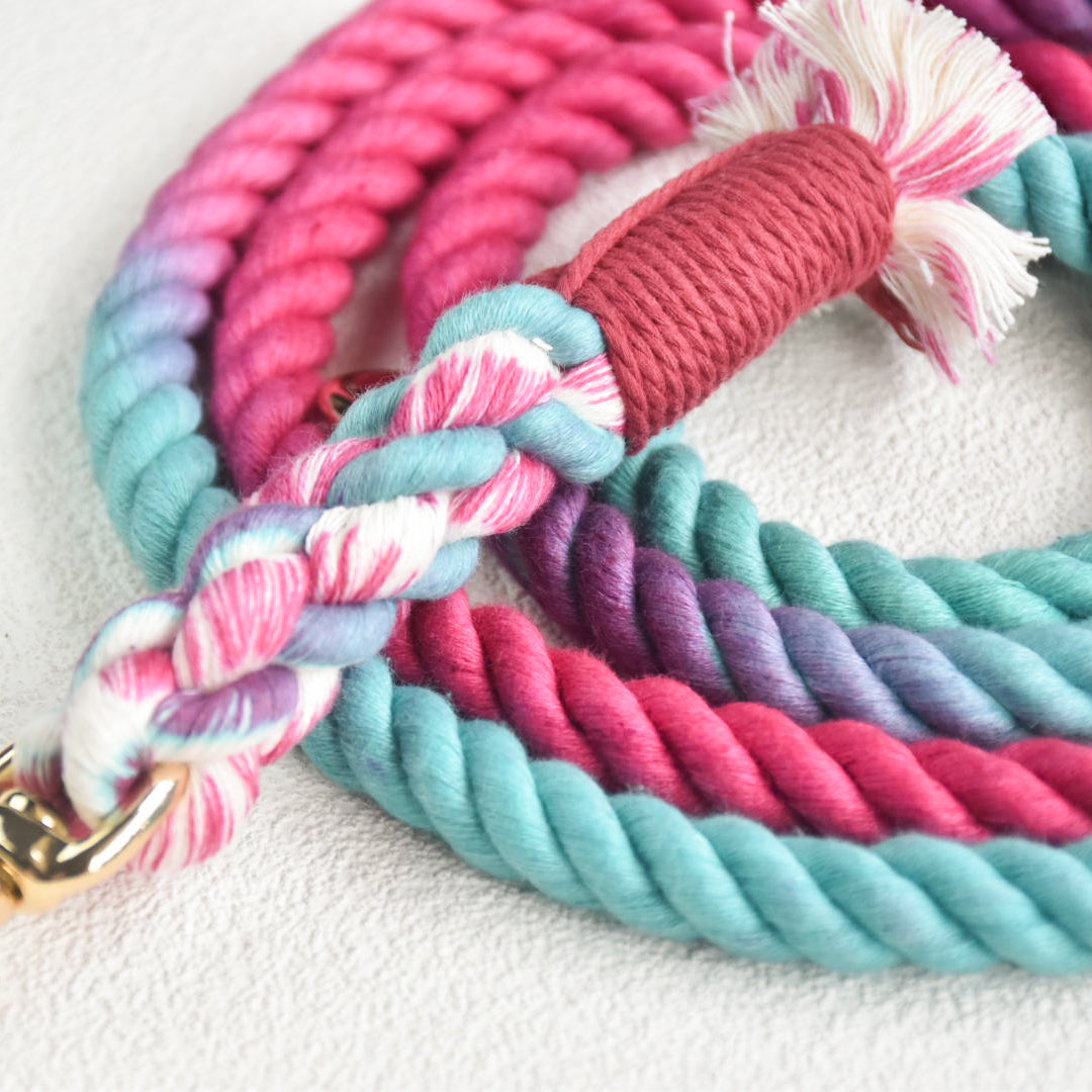 Leash | Pink Oasis