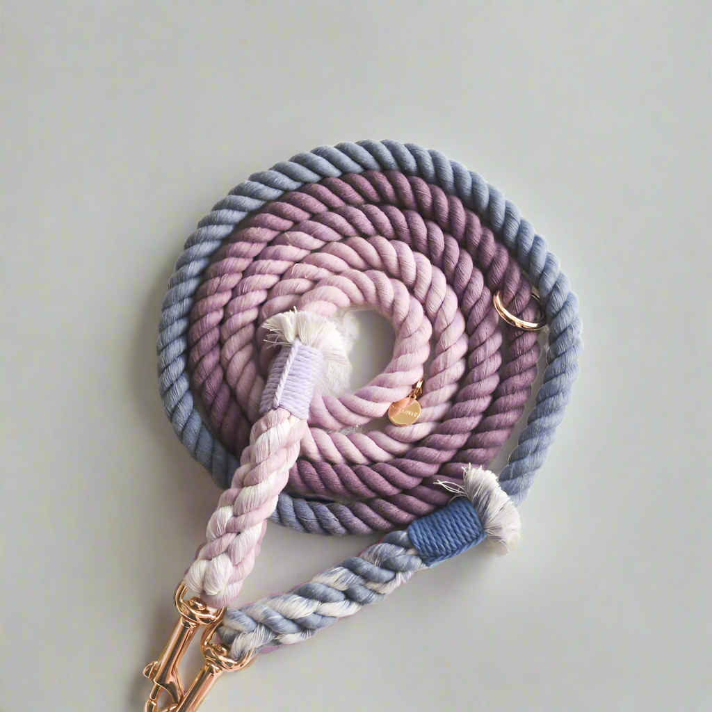 Cotton rope leash violet