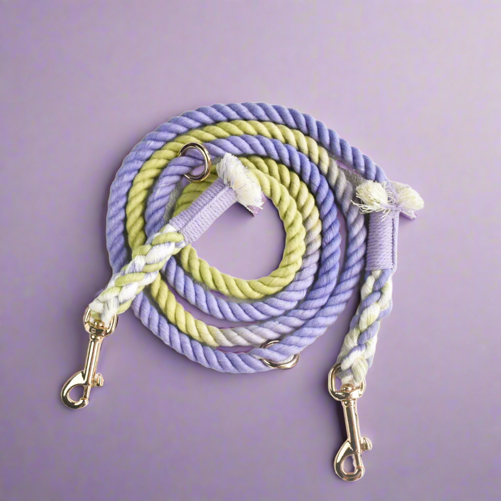 Leash | Lavender Fields