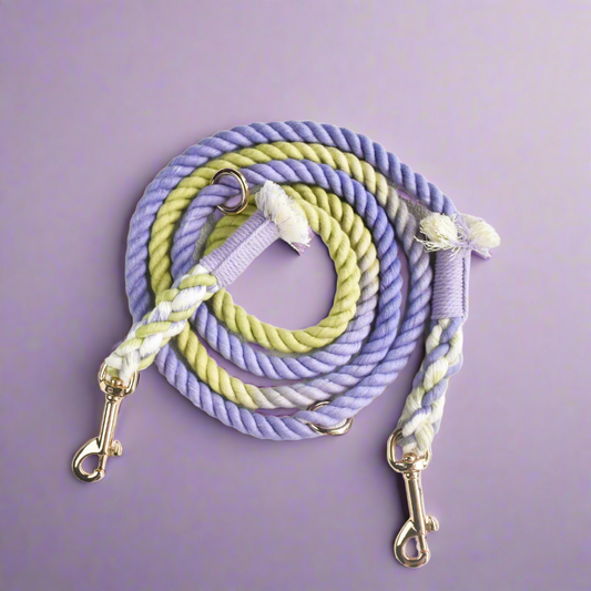 Leash | Lavender Fields