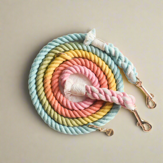 Leash | Sweet Lollie