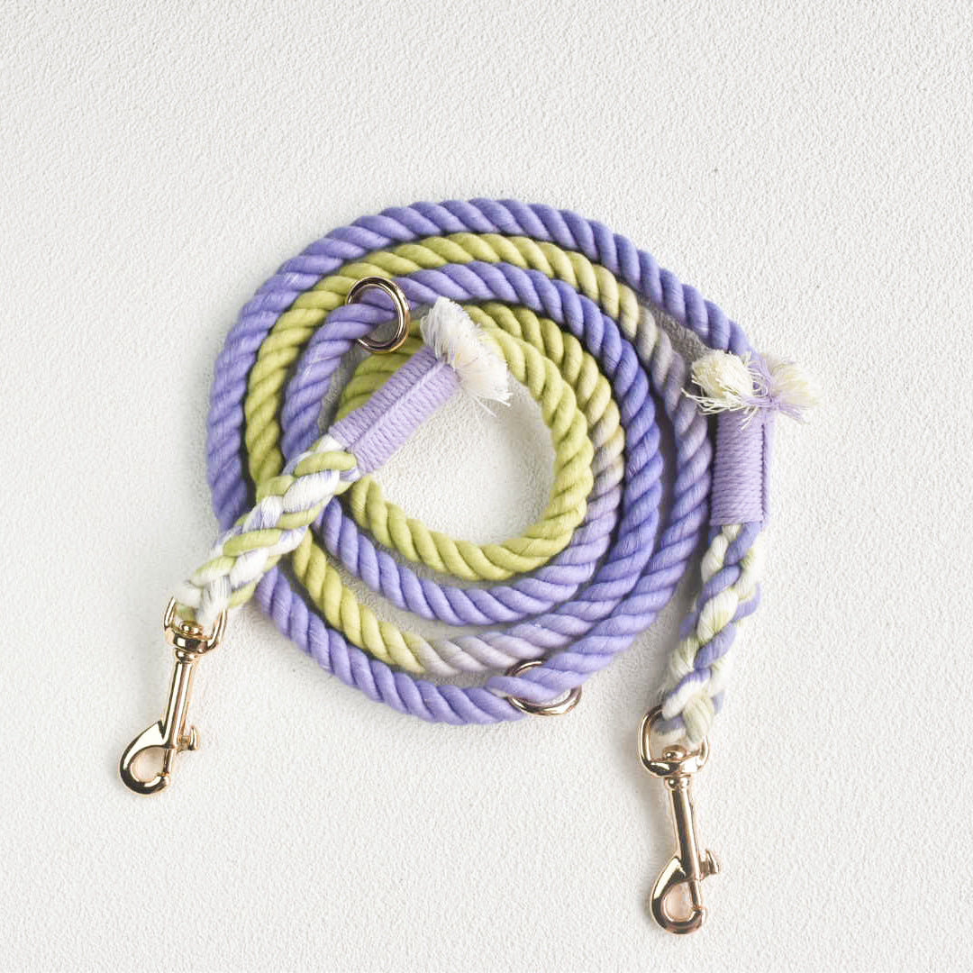 Leash | Lavender Fields