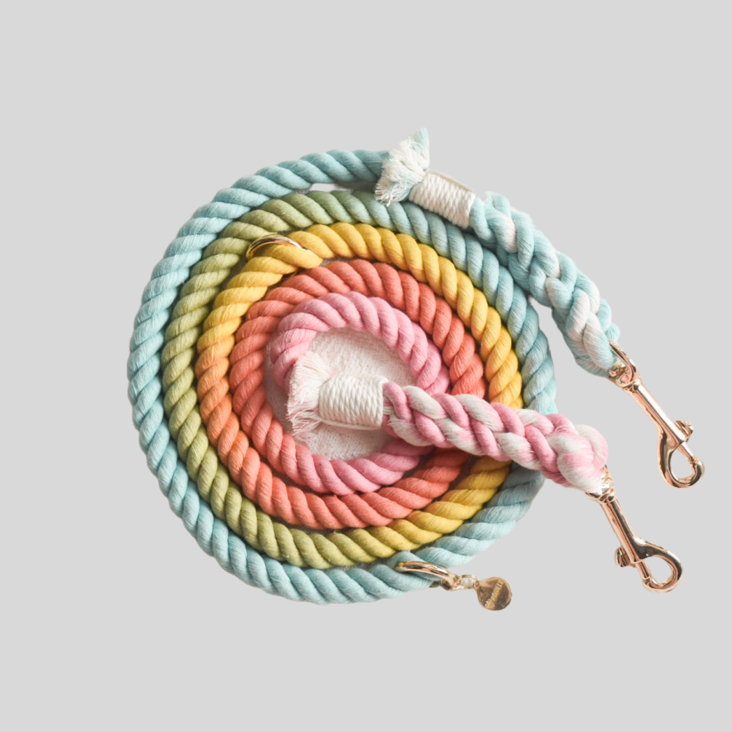 Leash | Sweet Lollie