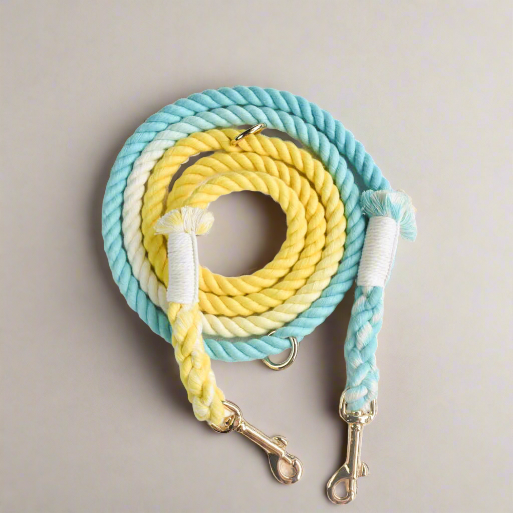 Leash | Summer