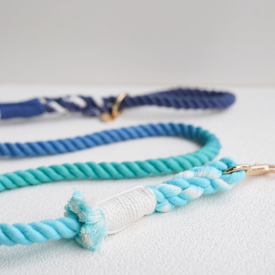 Leash | Ocean