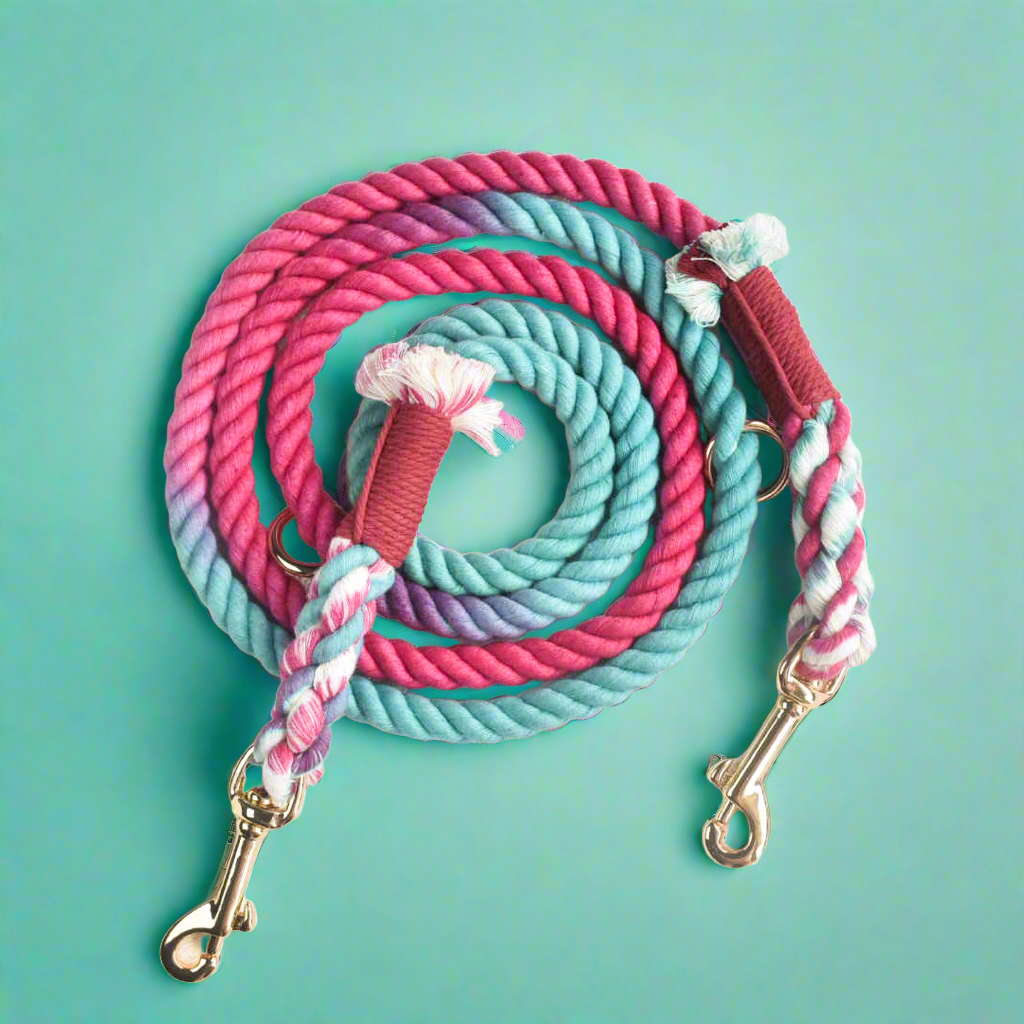 Leash | Pink Oasis