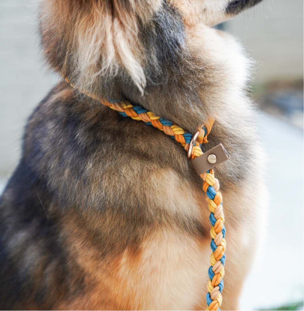 Cotton Cloud Slip Leash