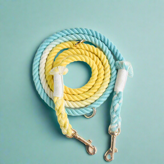 Leash | Summer