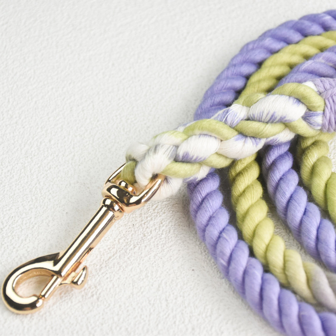 Leash | Lavender Fields