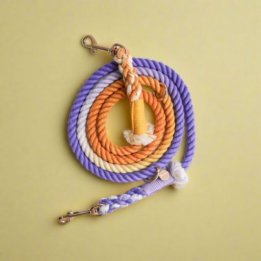 Leash | Amethyst