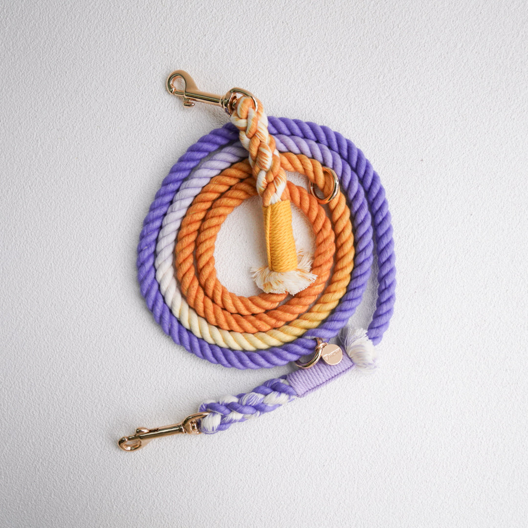 Leash | Amethyst