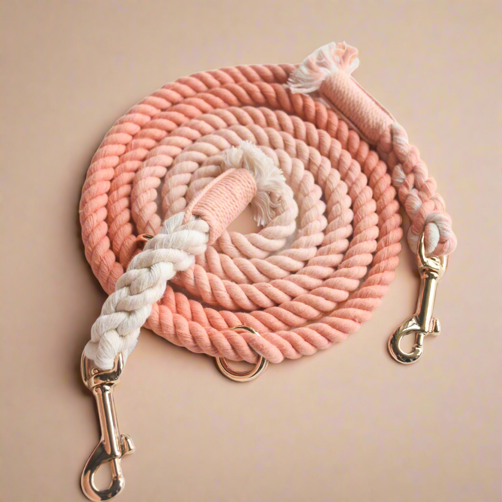 Leash | Coral