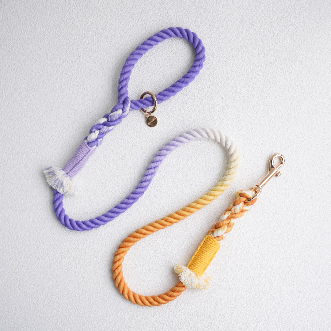 Leash | Amethyst