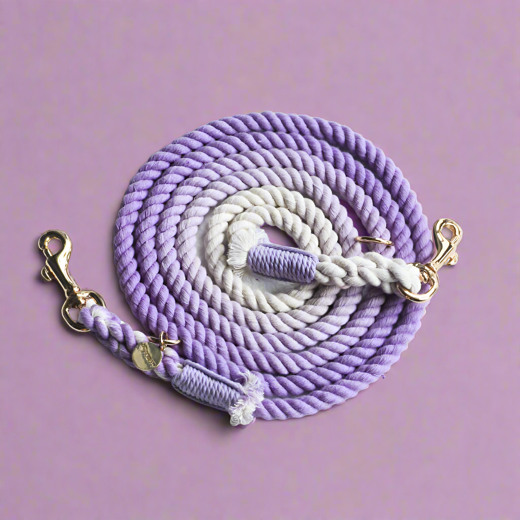 Leash |  Purple