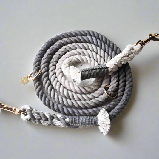 Leash | Charcoal