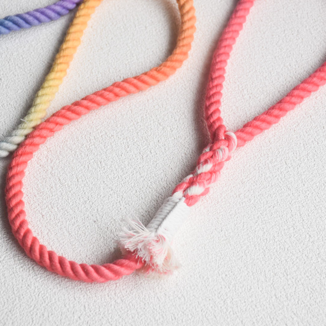 Leash |  Customised colour