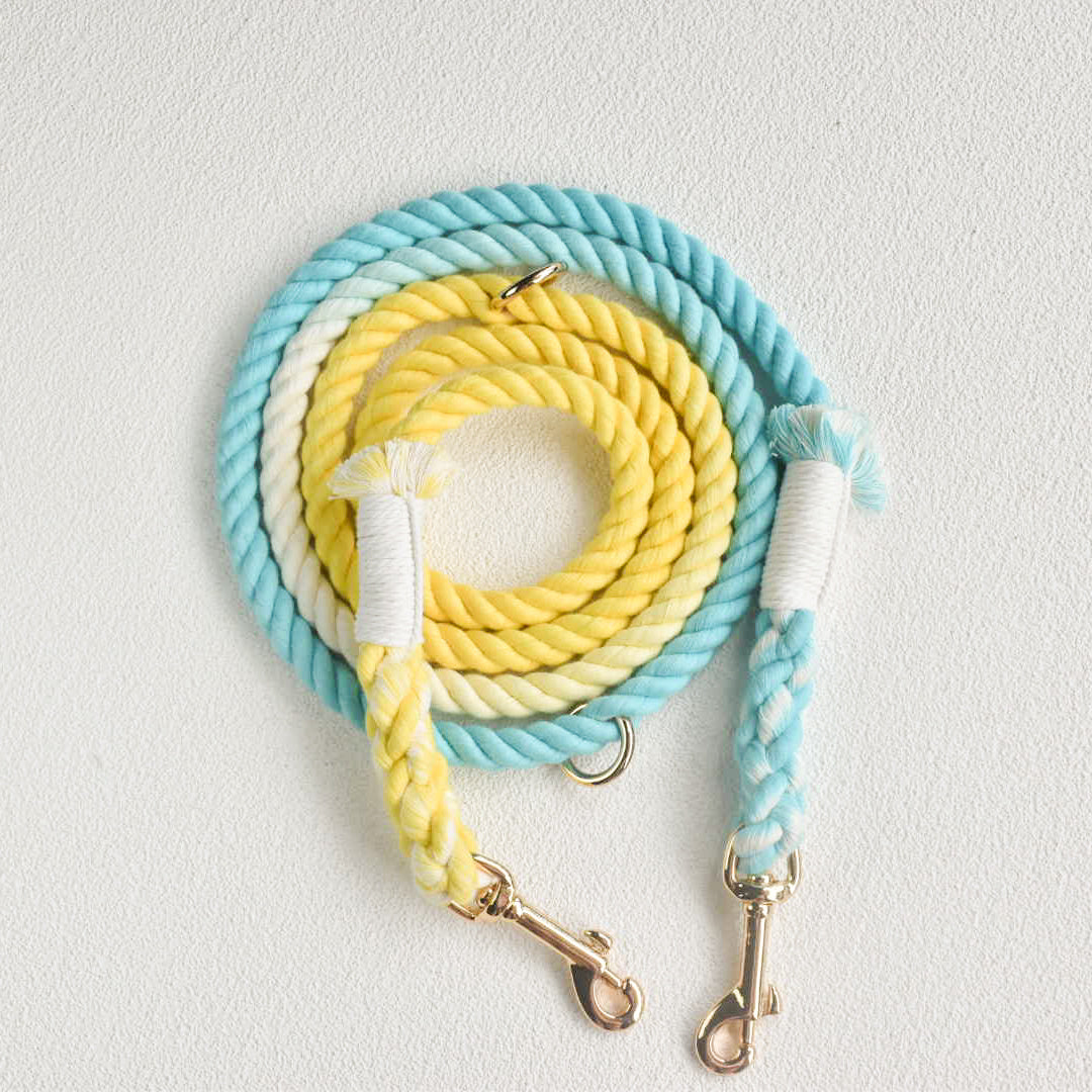 Leash | Summer