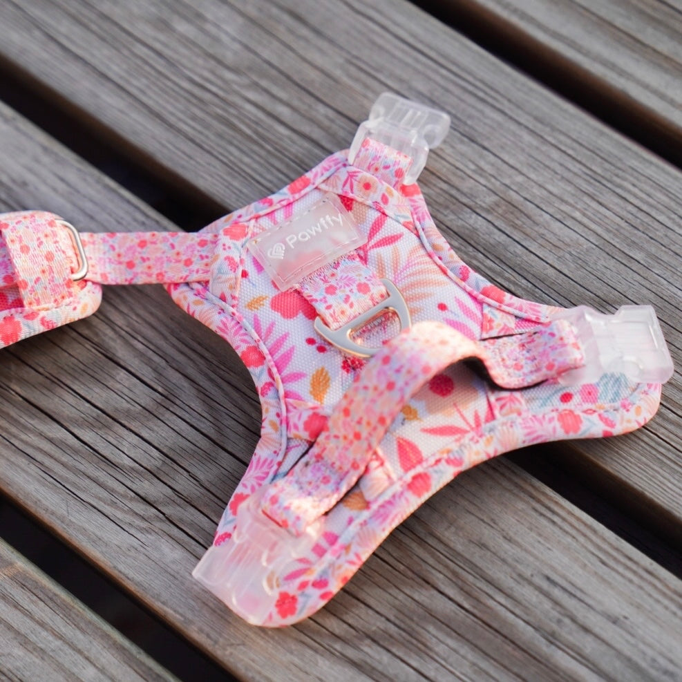 Adventure Harness | Floral