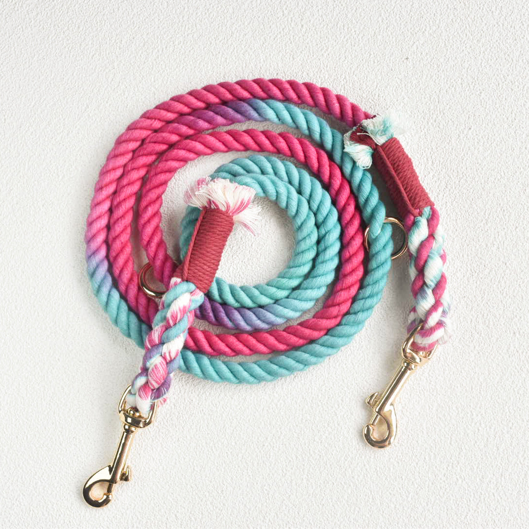 Leash | Pink Oasis