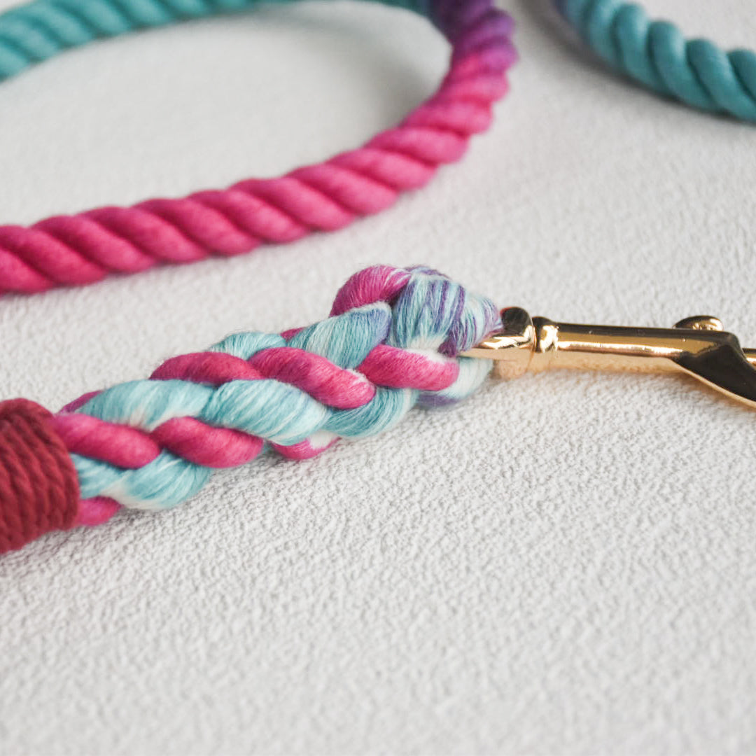 Leash | Pink Oasis