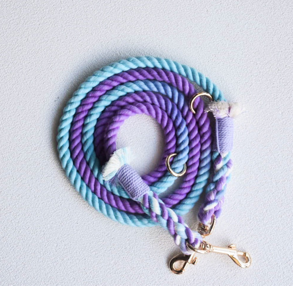 Leash |  Aurora