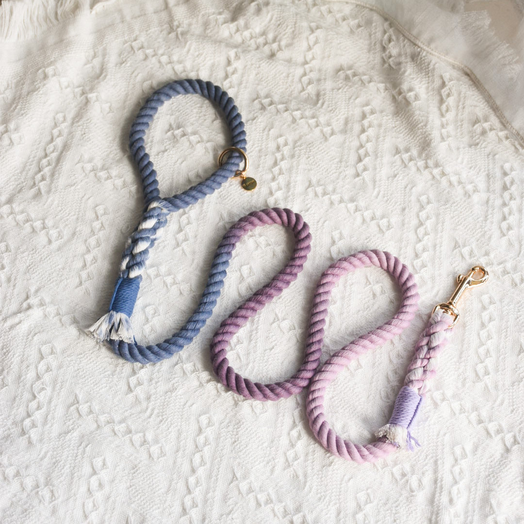 Leash |  Violet