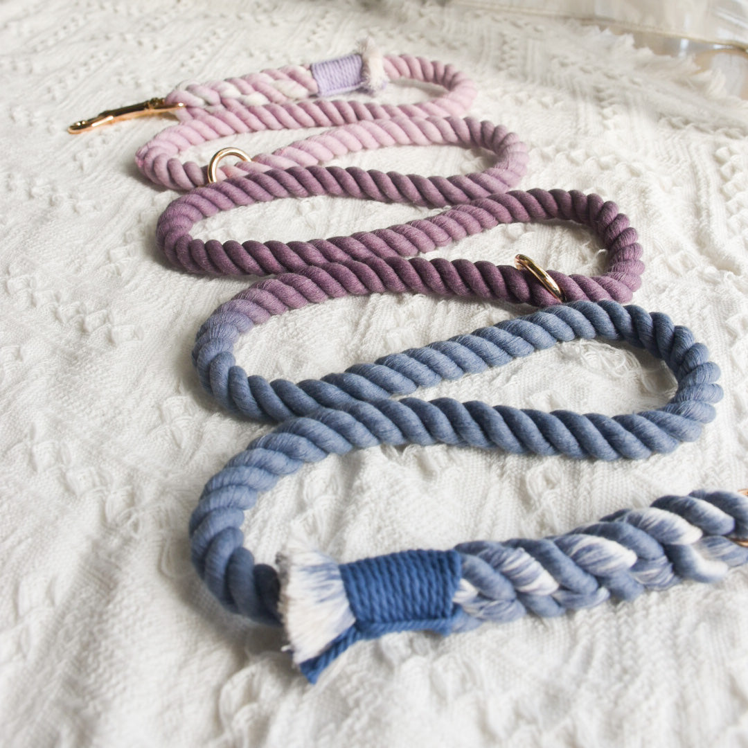 Leash |  Violet