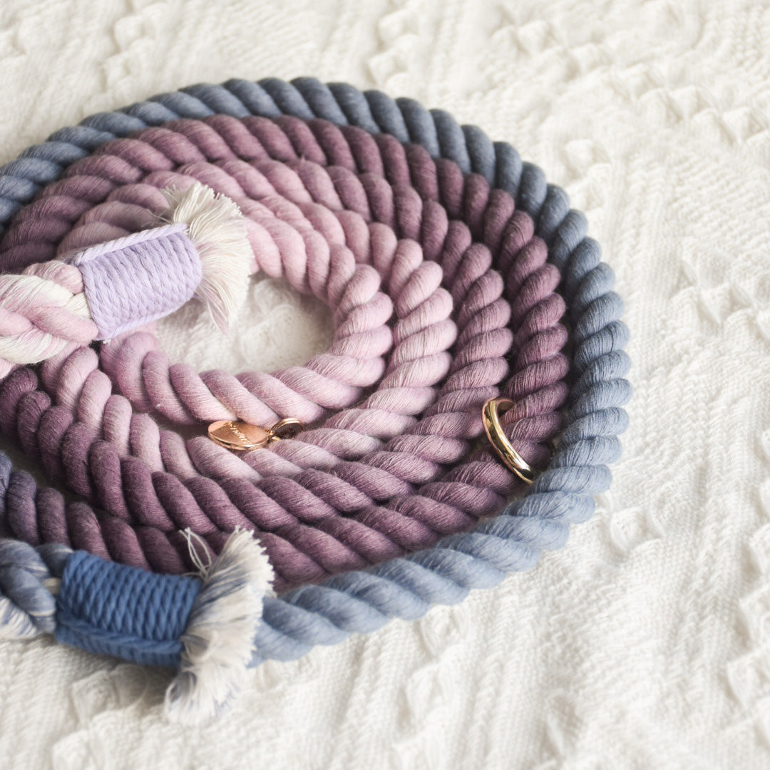 Leash |  Violet