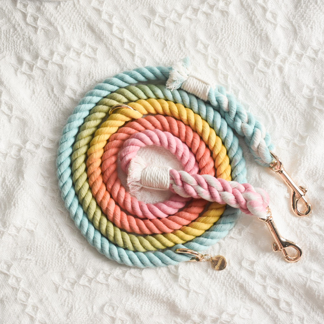 Leash | Sweet Lollie