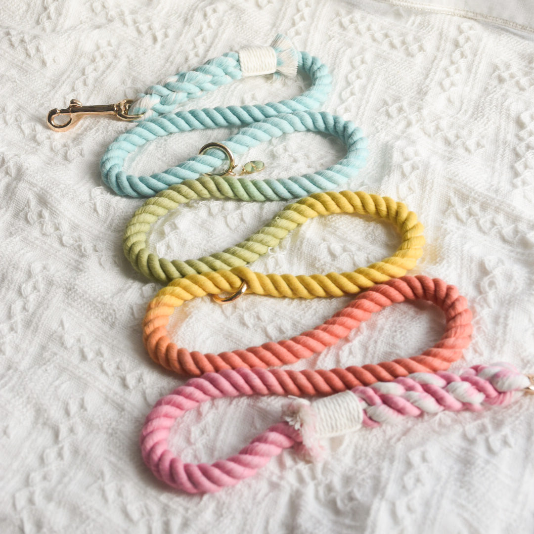 Leash | Sweet Lollie