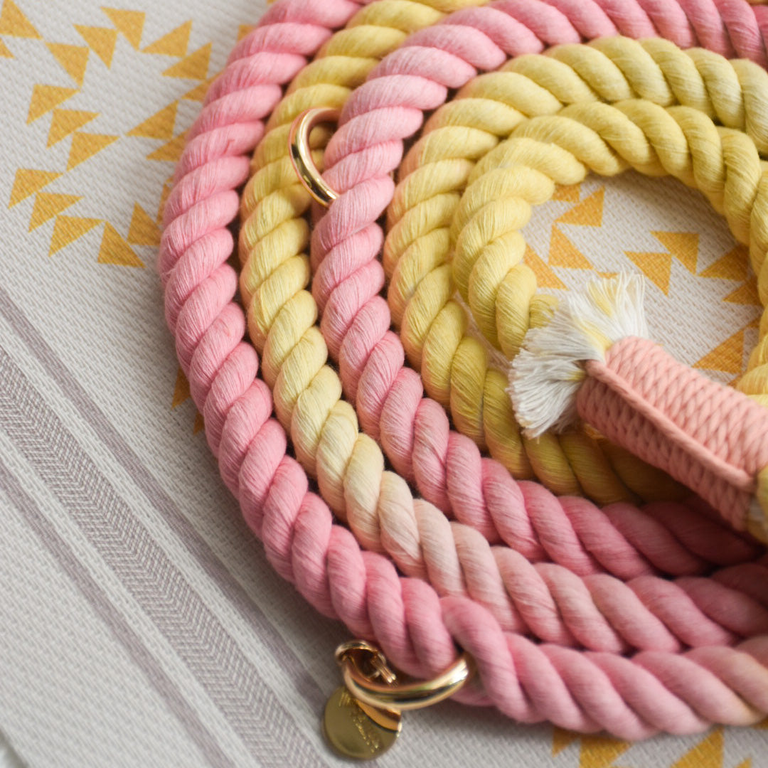 Leash |  Marshmallow