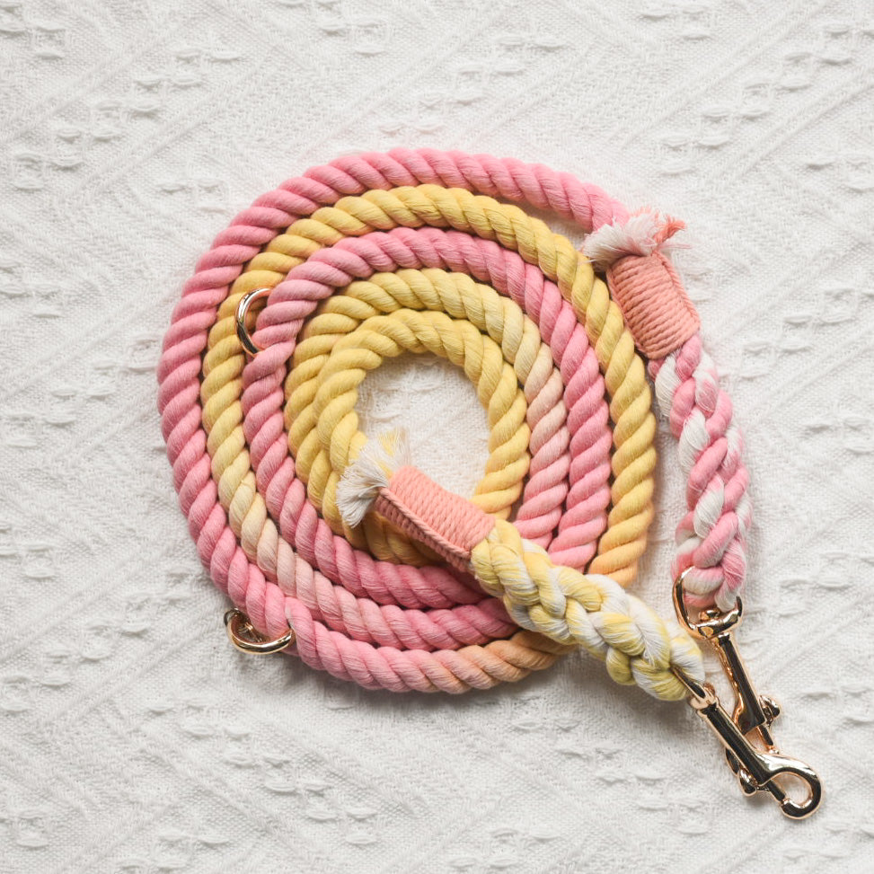 Leash |  Marshmallow