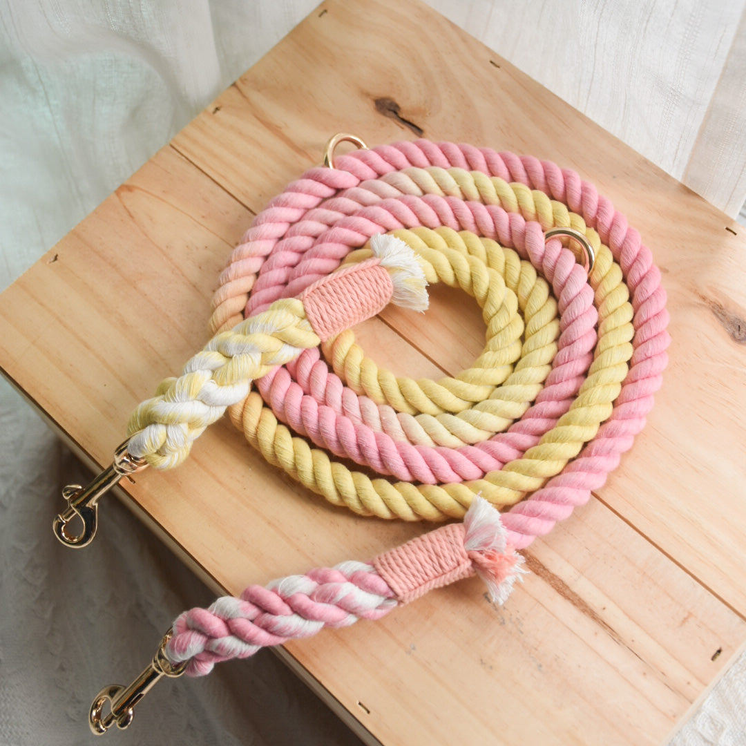 Leash |  Marshmallow