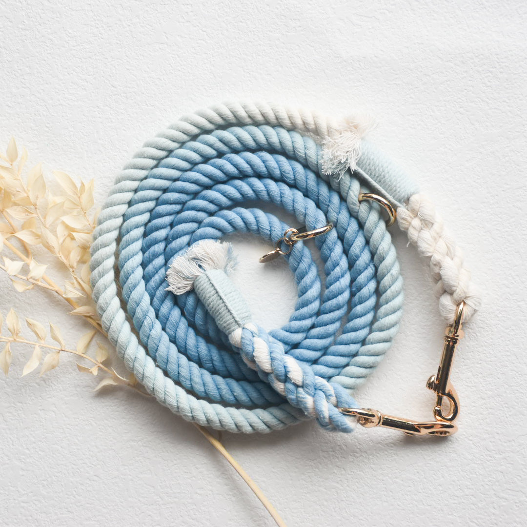 Leash | Blue