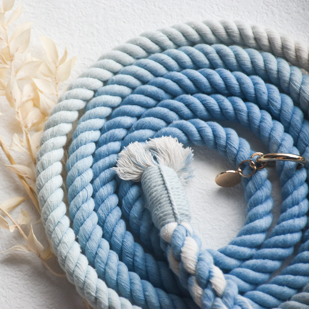 Leash | Blue