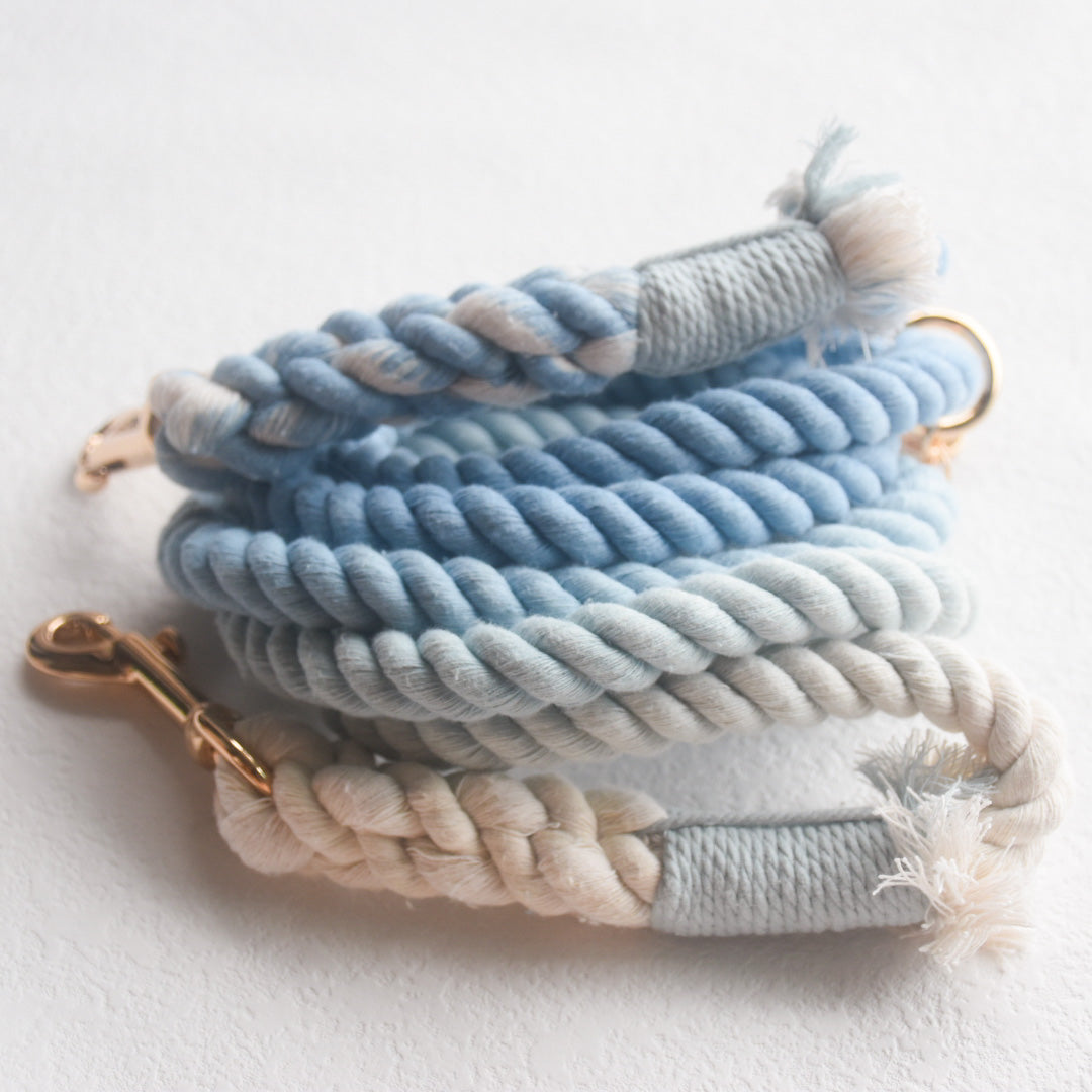 Leash | Blue