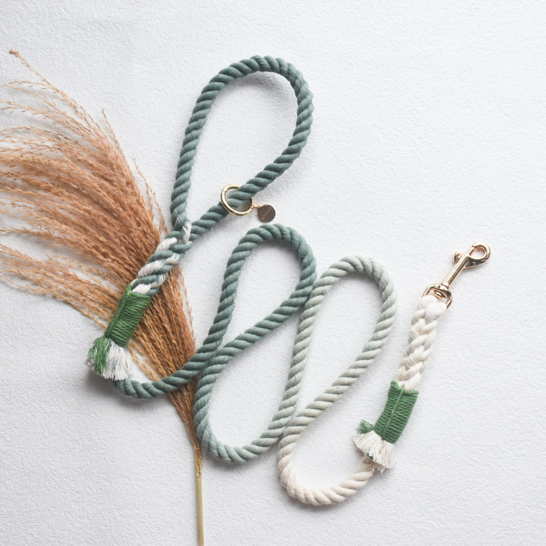 Leash | Dark Green