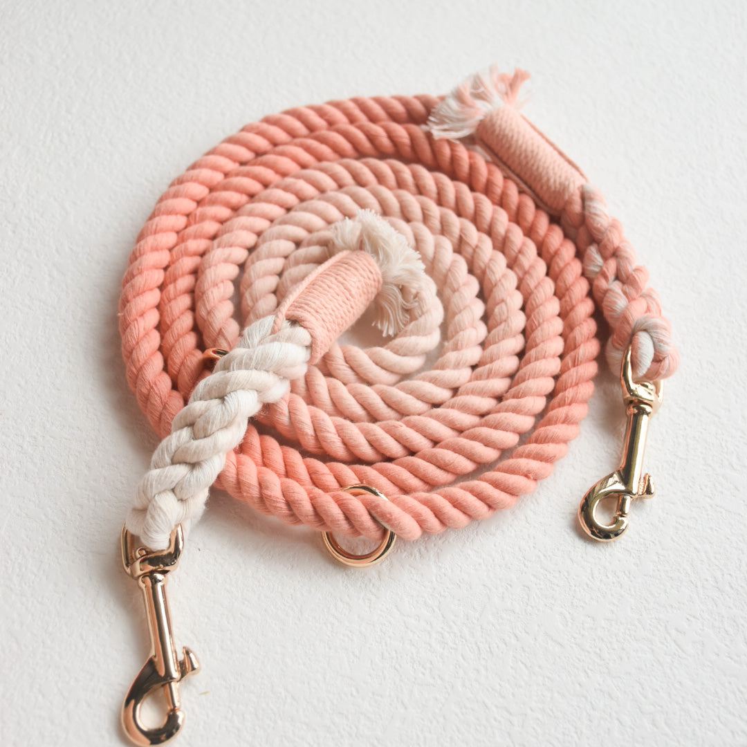 Leash | Coral