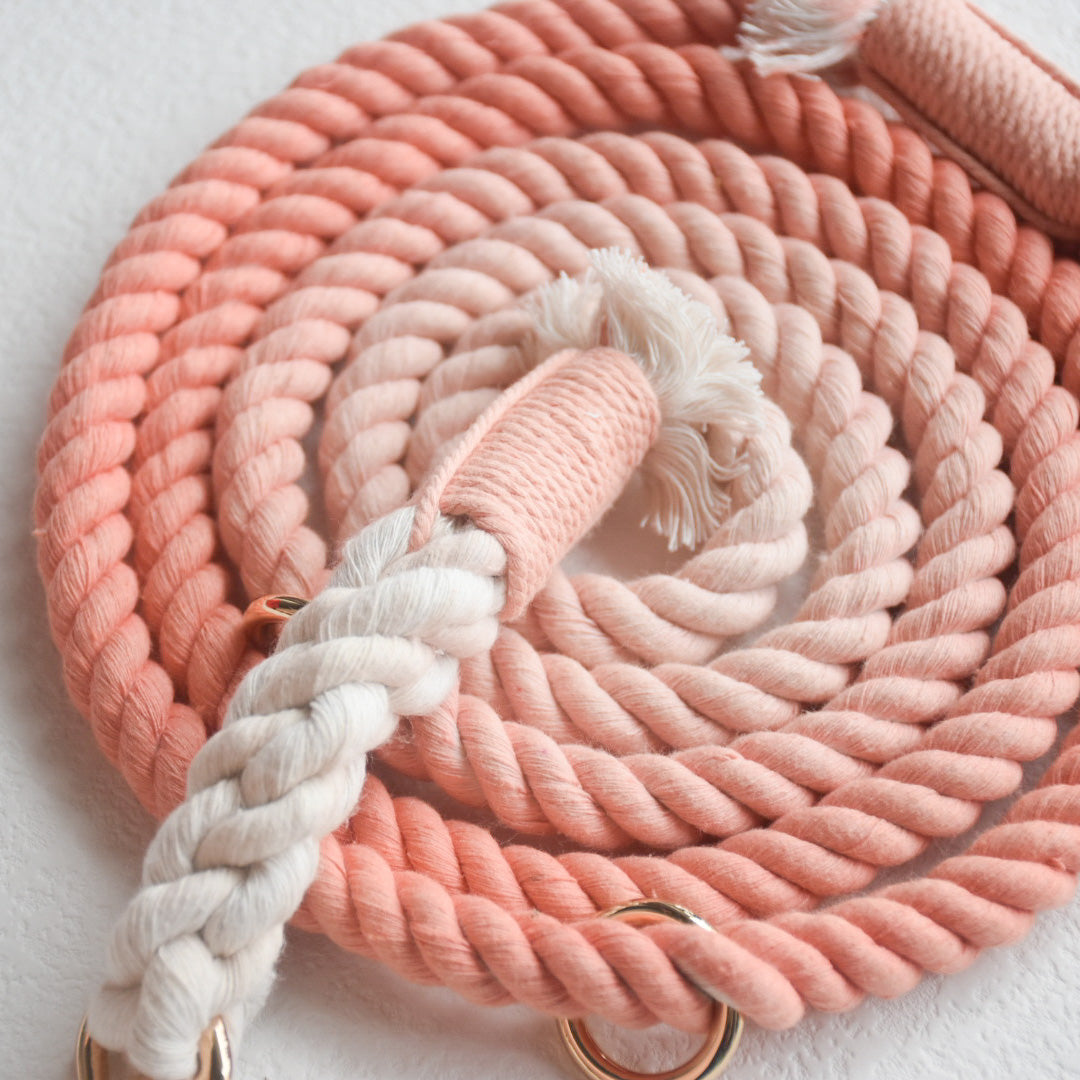 Leash | Coral