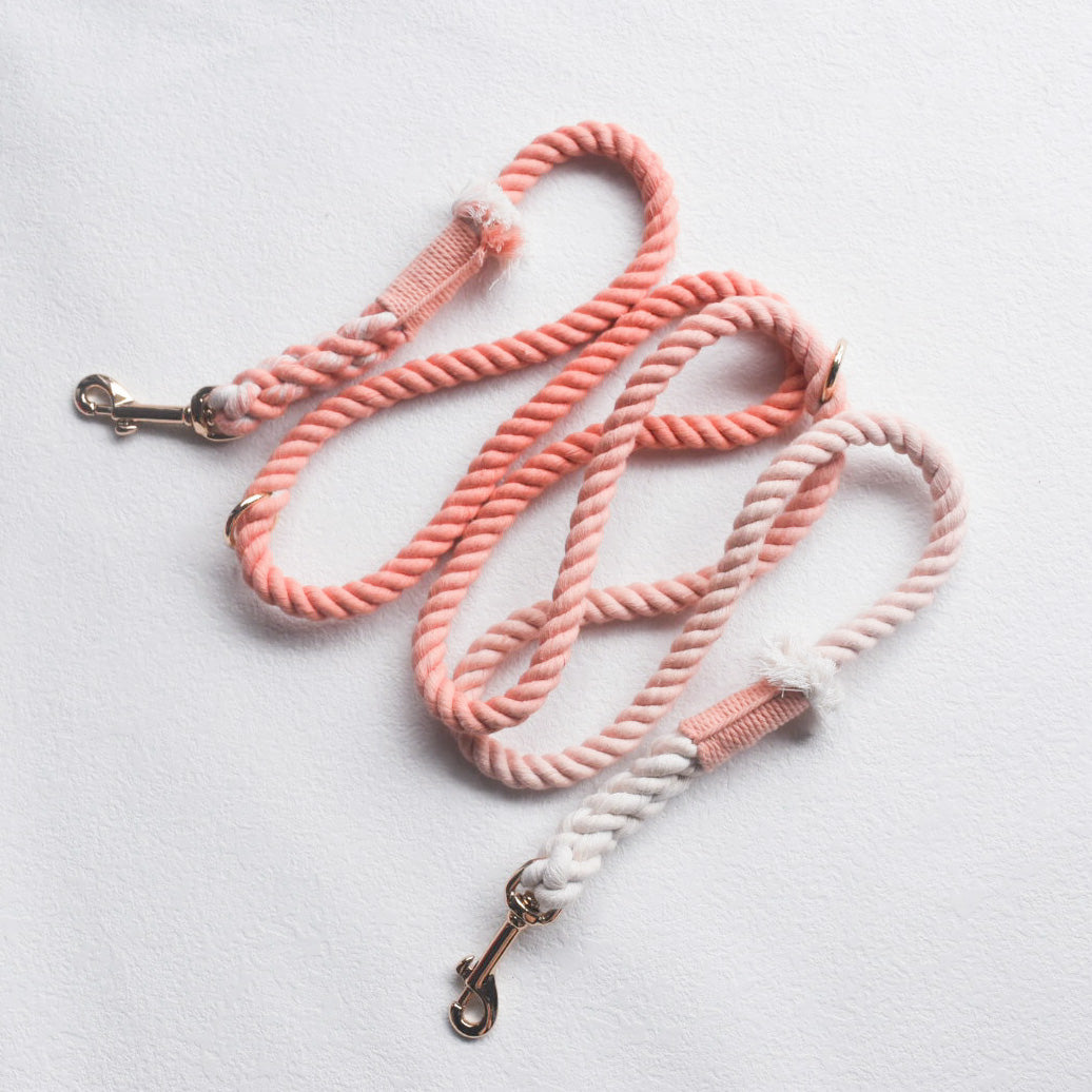 Leash | Coral