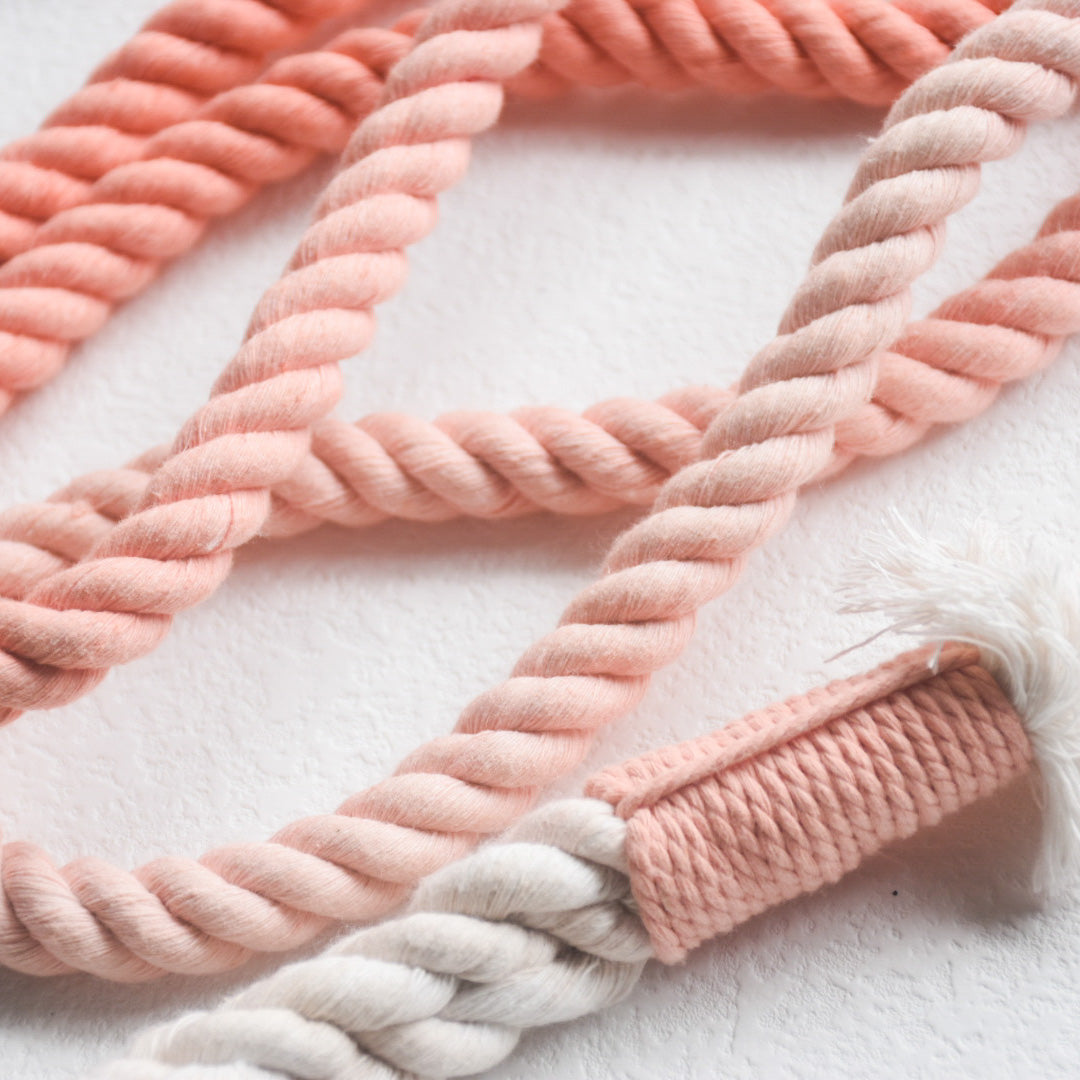 Leash | Coral