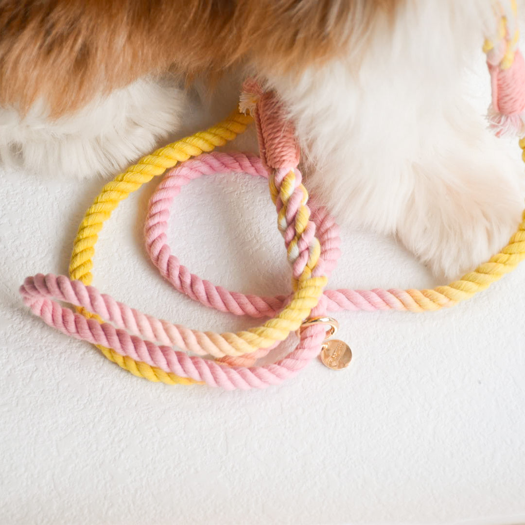 Leash |  Marshmallow