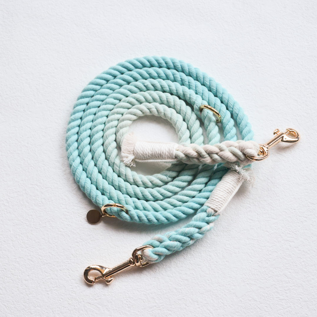 Leash |  Aqua